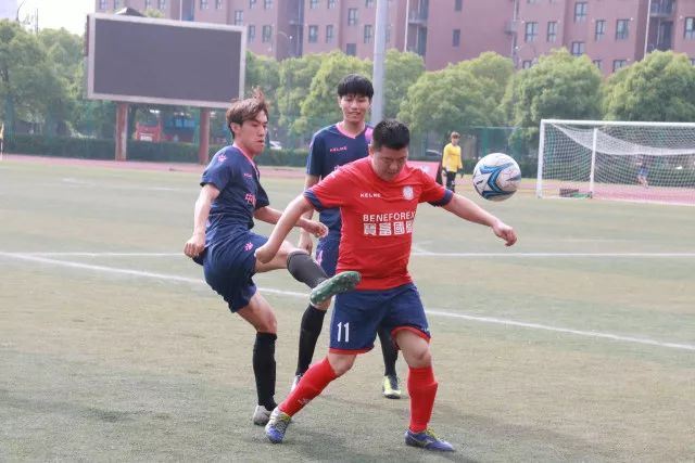 下载爱赢体育官网入口